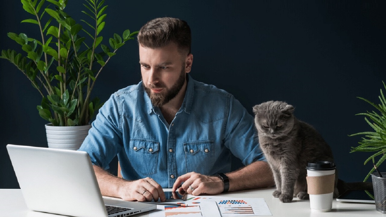 En este momento estás viendo Cursos virtuales GRATIS